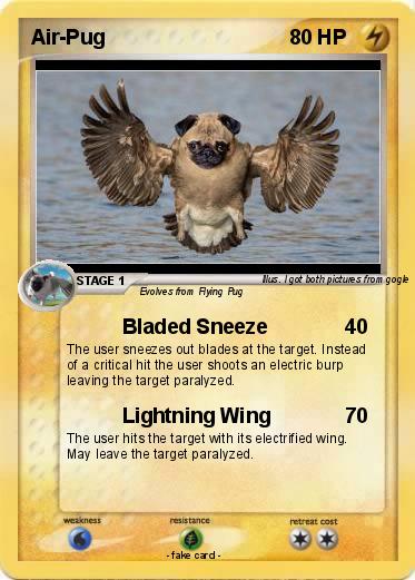 Pokemon Air-Pug