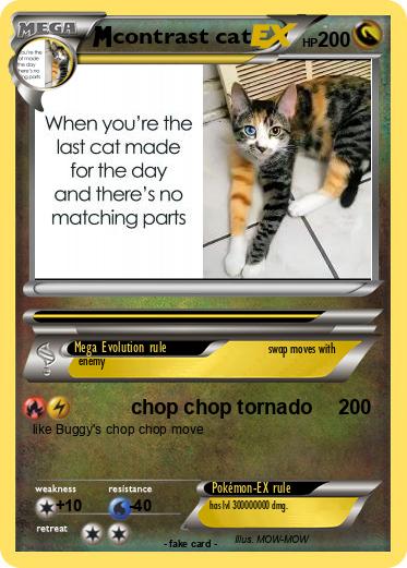 Pokemon contrast cat