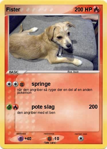 Pokemon Fister