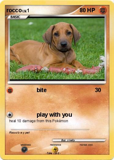 Pokemon rocco
