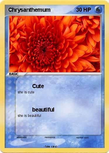 Pokemon Chrysanthemum