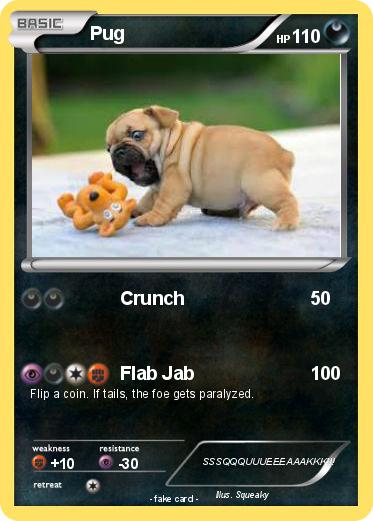 Pokemon Pug