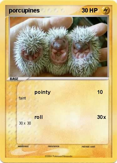Pokemon porcupines