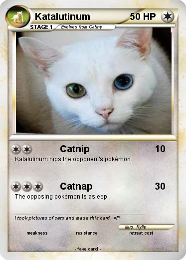 Pokemon Katalutinum