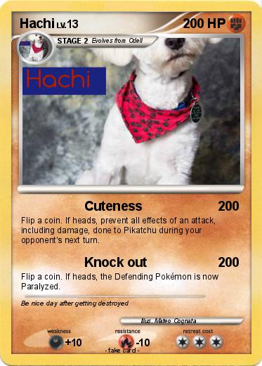 Pokemon Hachi