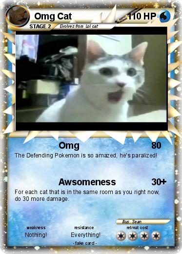 Pokemon Omg Cat