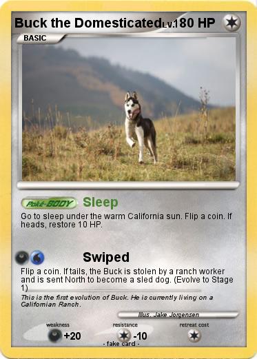 Pokemon Buck the Domesticated