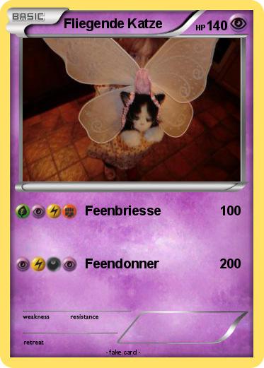 Pokemon Fliegende Katze