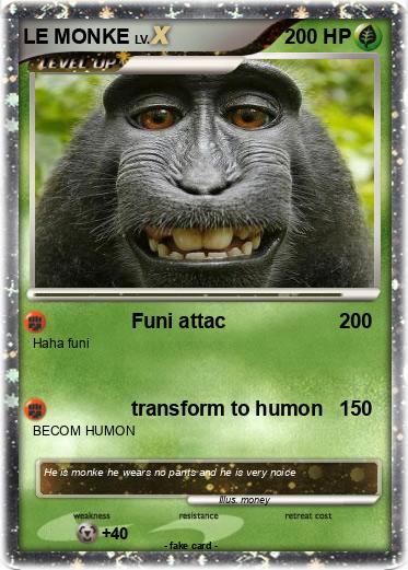 Pokemon LE MONKE