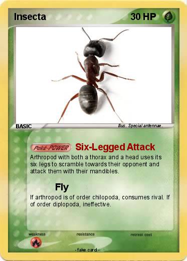 Pokemon Insecta