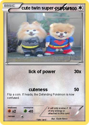 Pokemon cute twin super-puppies
