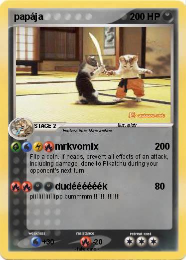Pokemon papája