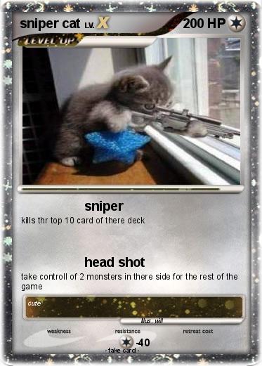 Pokemon sniper cat