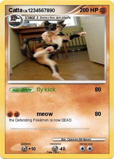 Pokemon Catta