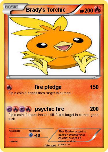 Pokemon Brady's Torchic