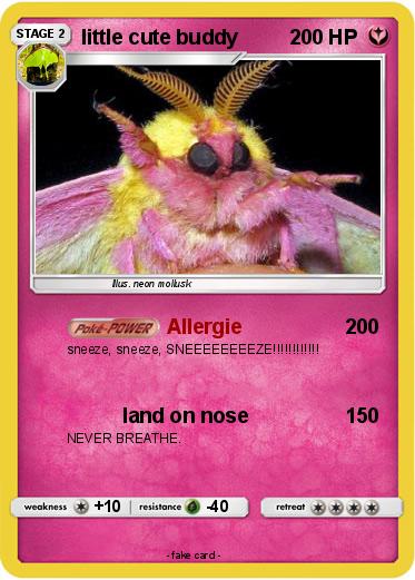 Pokemon little cute buddy