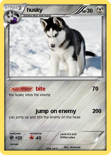 Pokemon husky
