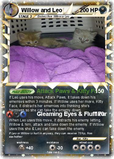 Pokemon Willow and Leo