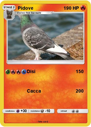 Pokemon Pidove