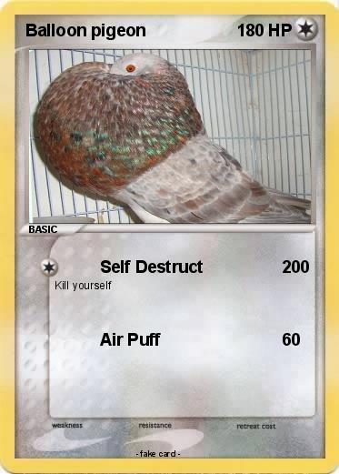 Pokemon Balloon pigeon