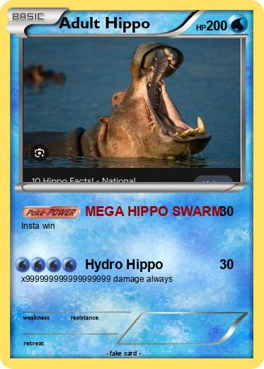 Pokemon Adult Hippo