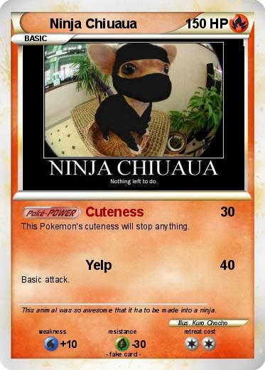 Pokemon Ninja Chiuaua
