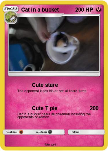 Pokemon Cat in a bucket