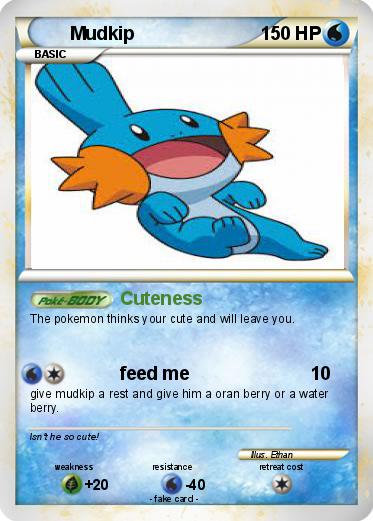Pokemon Mudkip