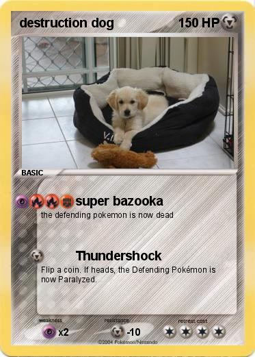 Pokemon destruction dog