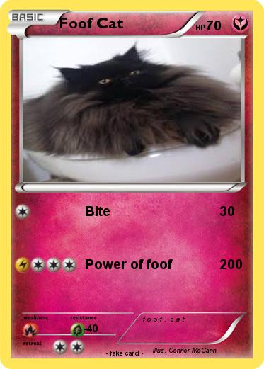 Pokemon Foof Cat