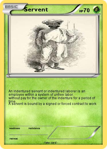 Pokemon Servent