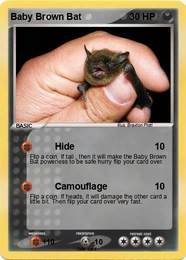 Pokemon Baby Brown Bat