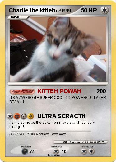 Pokemon Charlie the kitteh Pokemon Charlie the kitteh
