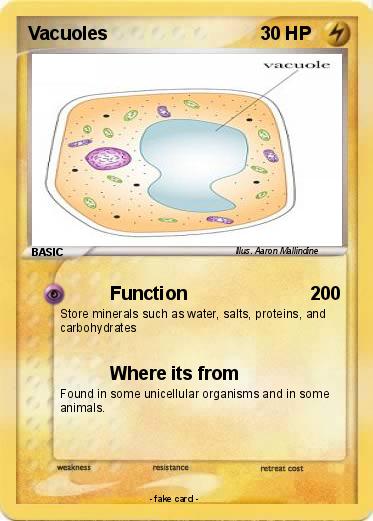 Pokemon Vacuoles
