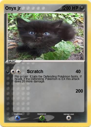 Pokemon Onyx jr
