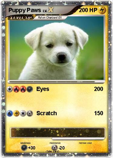 Pokemon Puppy Paws