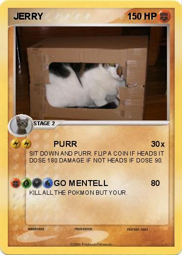 Pokemon JERRY