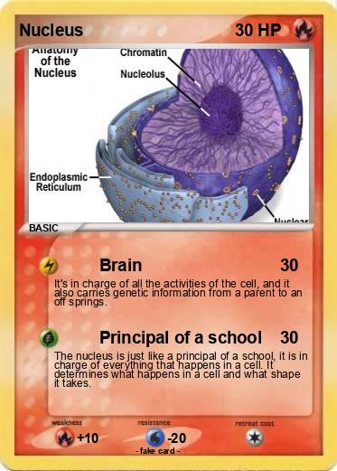 Pokemon Nucleus