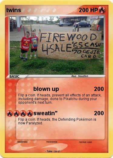 Pokemon twins