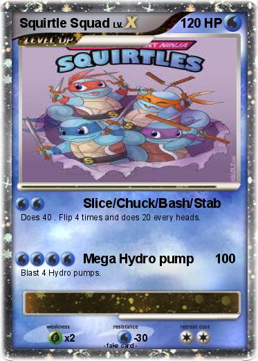 Pokemon Squirtle Squad