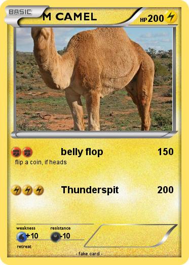 Pokemon M CAMEL