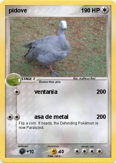Pokemon pidove