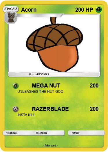 Pokemon Acorn