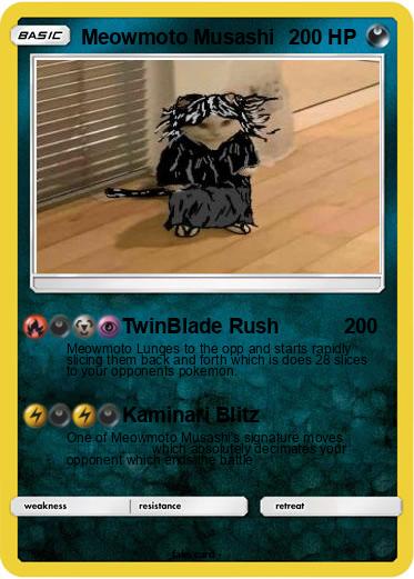 Pokemon Meowmoto Musashi