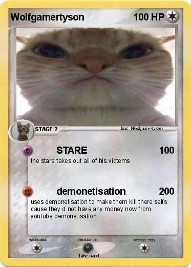 Pokemon Wolfgamertyson