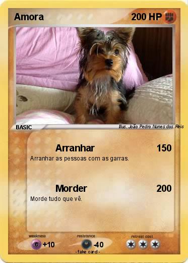 Pokemon Amora