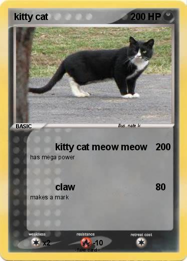 Pokemon kitty cat