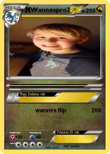 Pokemon Wannespro2