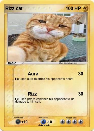 Pokemon Rizz cat