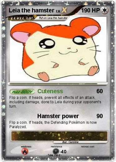 Pokemon Leia the hamster